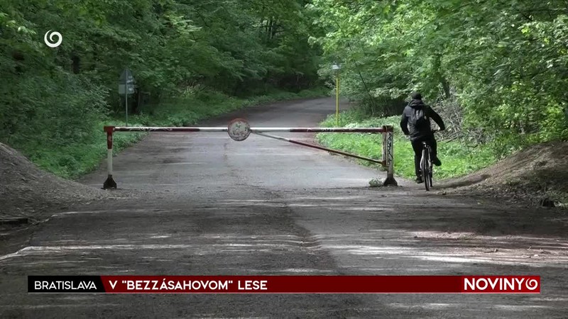 V "BEZZÁSAHOVOM" LESE