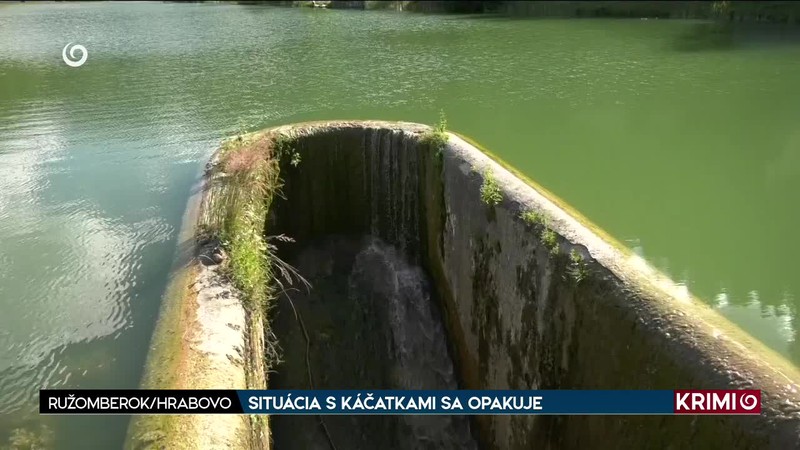 SITUÁCIA S KÁČATKAMI SA OPAKUJE