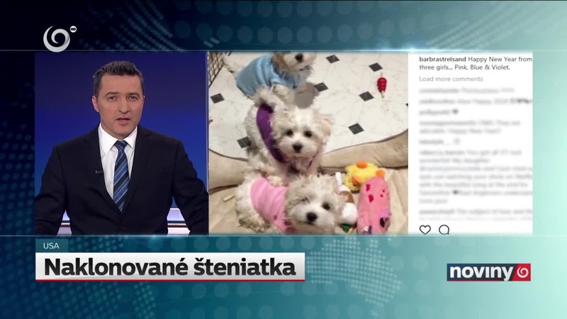 Naklonované šteniatka