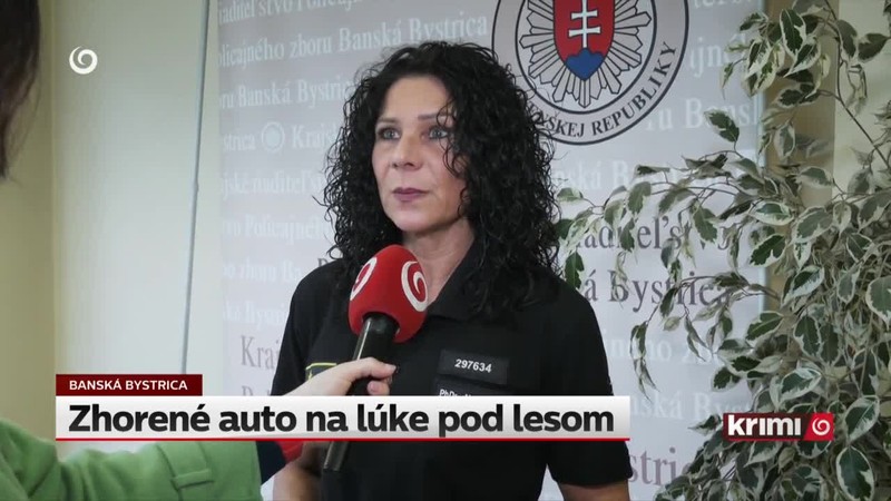 Zhorené auto na lúke pod lesom