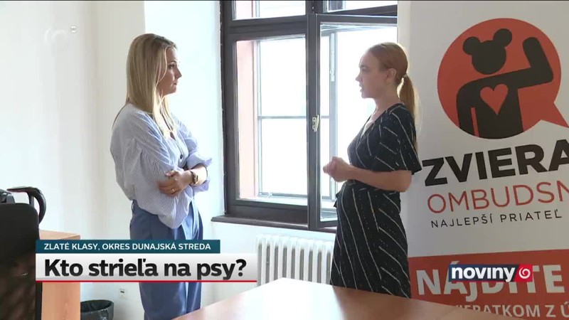 Kto strieľa na psy?