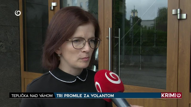 TRI PROMILE ZA VOLANTOM