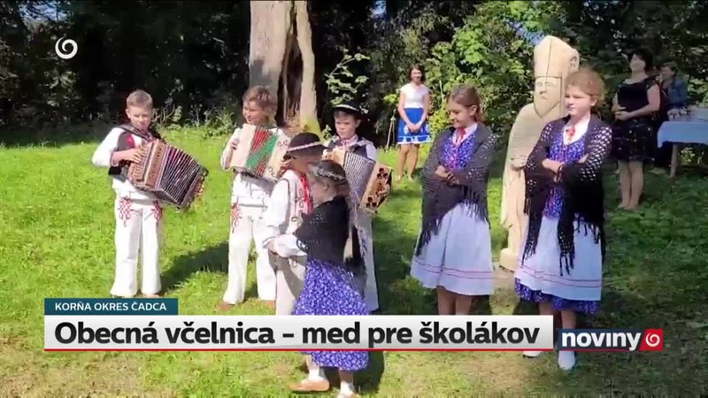 Žaloba parlamentu na komisiu