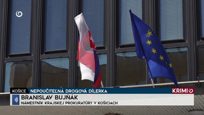 NEPOUČITEĽNÁ DROGOVÁ DÍLERKA