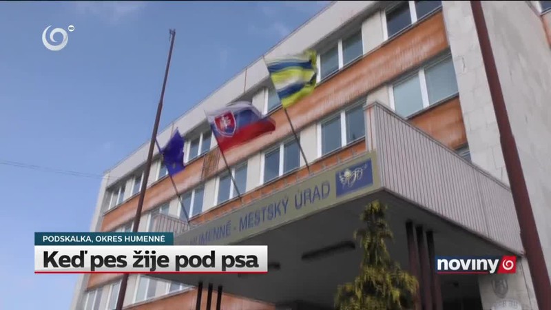 Keď pes žije pod psa