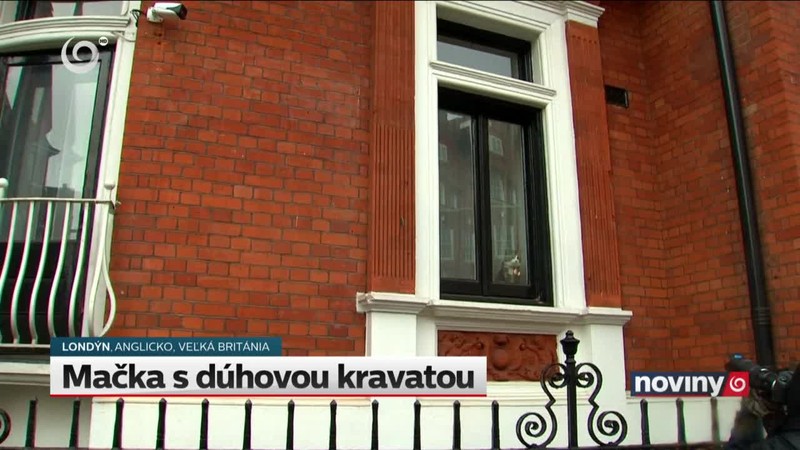 Mačka s dúhovou kravatou