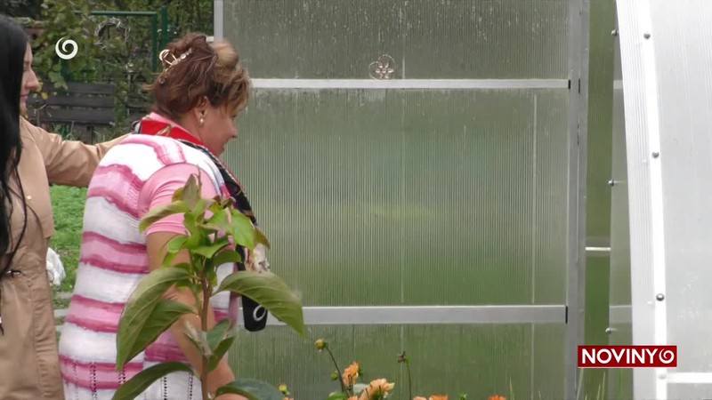 JESENNÝ "VÍRUSOVÝ KOLOTOČ"