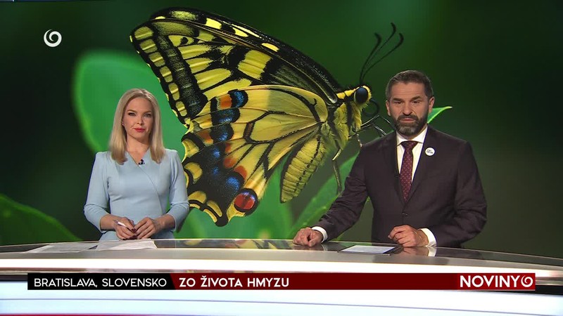 IZRAELSKÉ ÚDERY POKRAČUJÚ