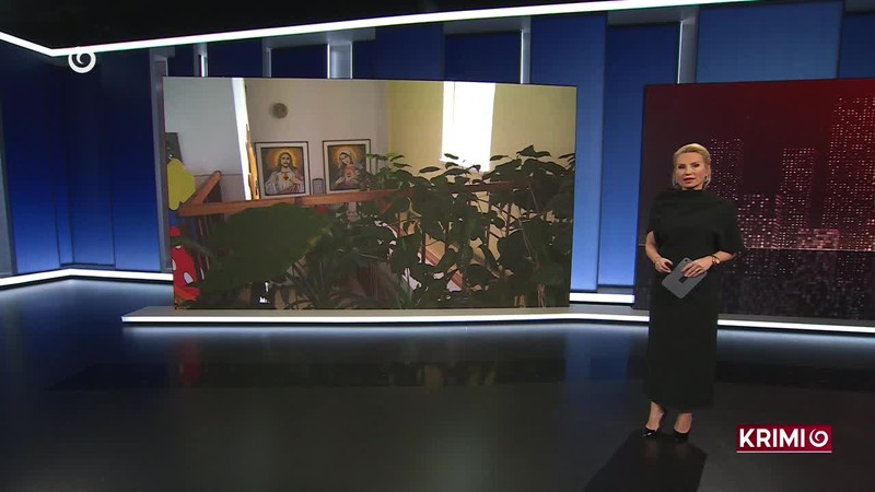 KAMIÓN PARALYZOVAL DOPRAVU