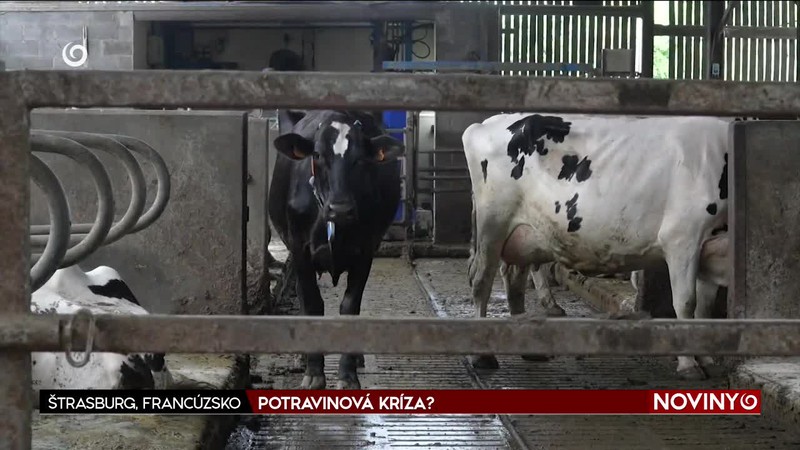 POTRAVINOVÁ KRÍZA?