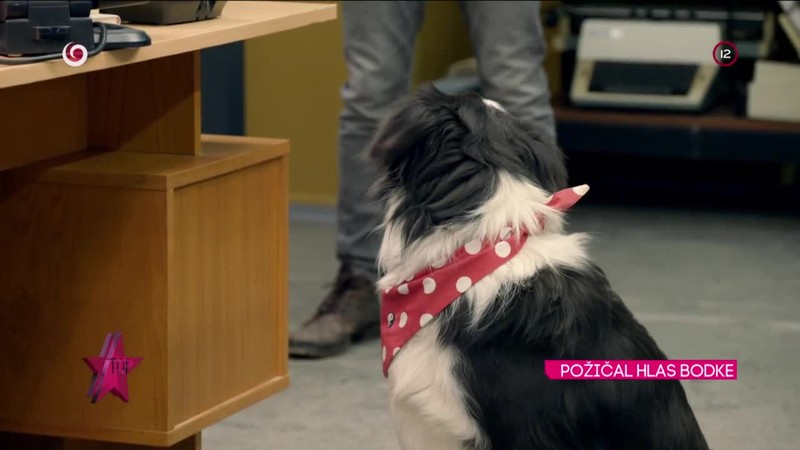 POŽIČAL HLAS BODKE