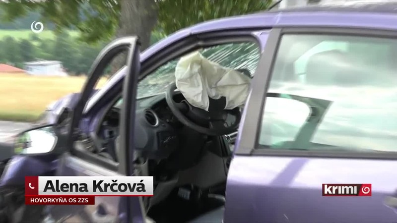 Vodič vrazil v protismere do stromu
