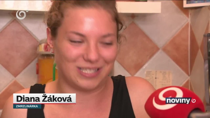 Komu prácu závidieť a koho ľutovať?