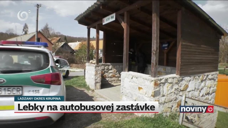 Lebky na autobusovej zastávke
