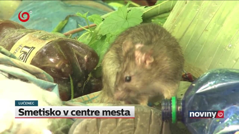 Smetisko v centre mesta