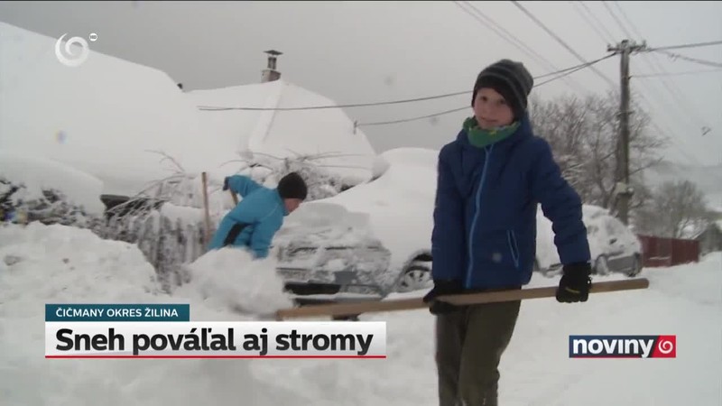 Sneh pováľal aj stromy