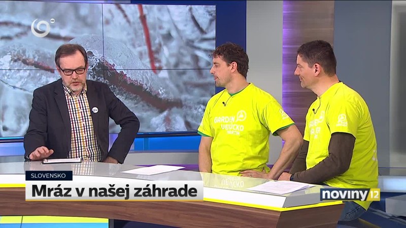 Mráz v našej záhrade