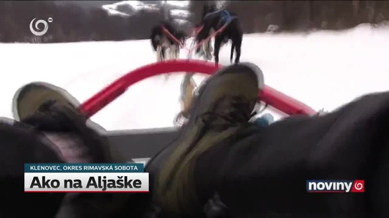 Ako na Aljaške