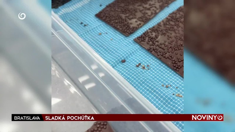 SLADKÁ POCHÚŤKA