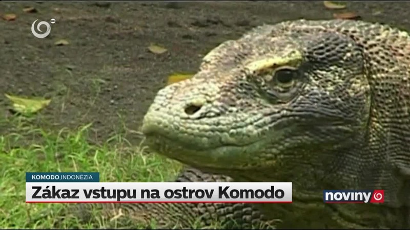 Zákaz vstupu na ostrov Komodo