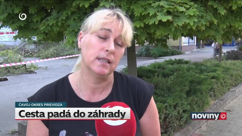 Cesta padá do záhrady