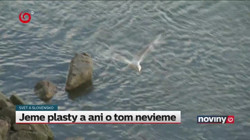 Jeme plasty a ani o tom nevieme