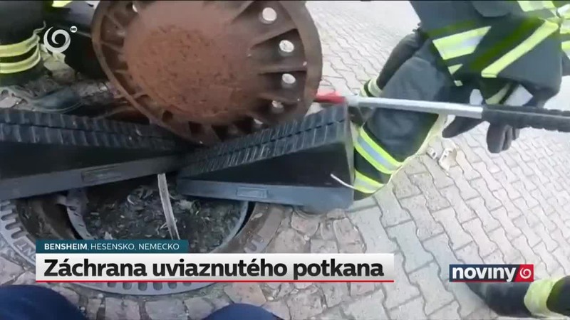 Záchrana uviaznutého potkana