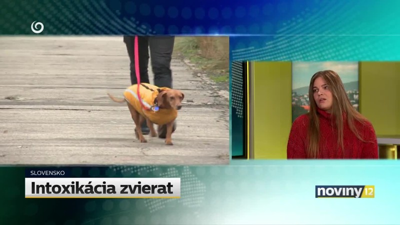 Intoxikácia zvierat