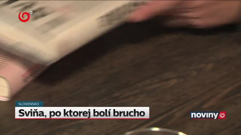 Sviňa, po ktorej bolí brucho