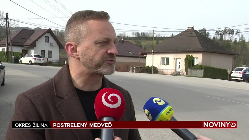 POSTRELENÝ MEDVEĎ