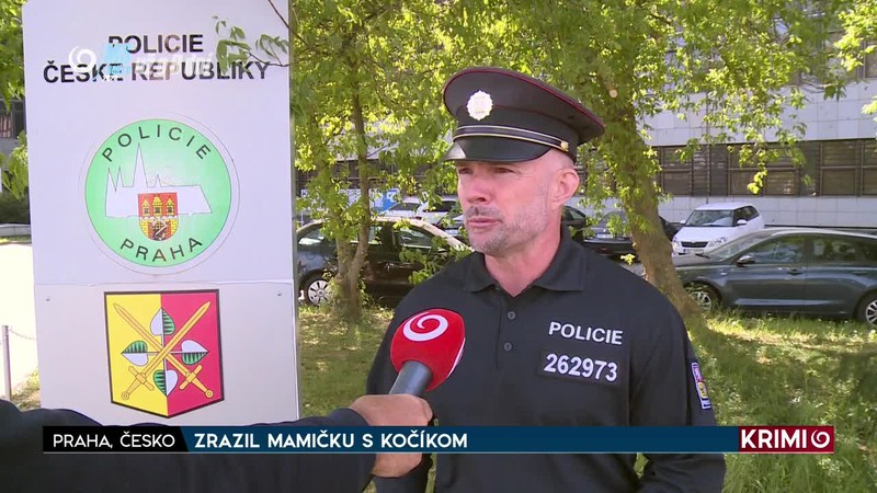 ZRAZIL MAMIČKU S KOČÍKOM