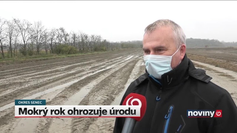 Mokrý rok ohrozuje úrodu