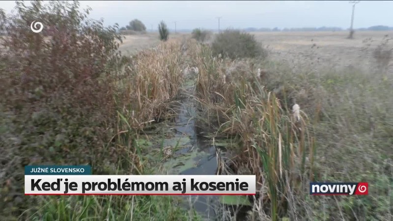 Keď je problémom aj kosenie