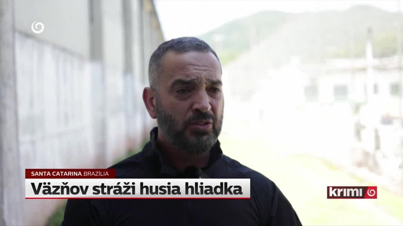 Väzňov stráži husia hliadka