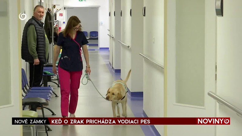KEĎ O ZRAK PRICHÁDZA VODIACI PES