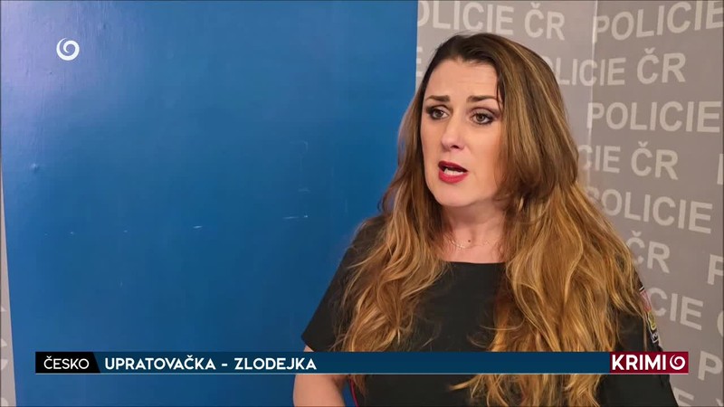 UPRATOVAČKA - ZLODEJKA