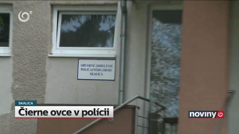 Čierne ovce v polícii