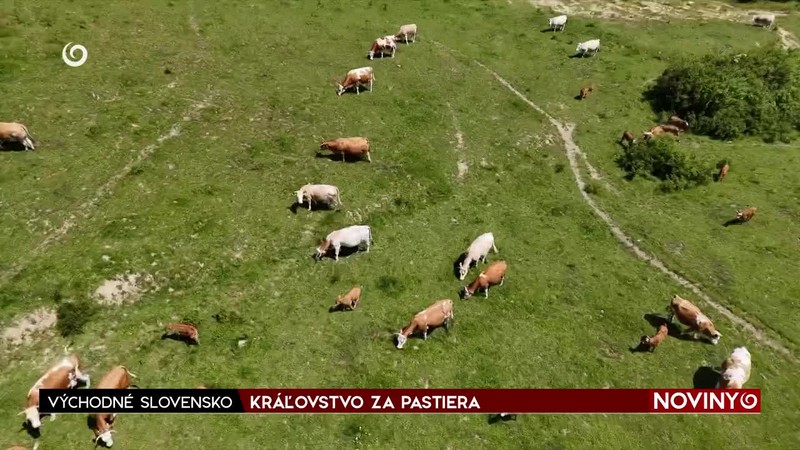 KRÁĽOVSTVO ZA PASTIERA