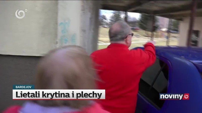 Lietali krytina i plechy