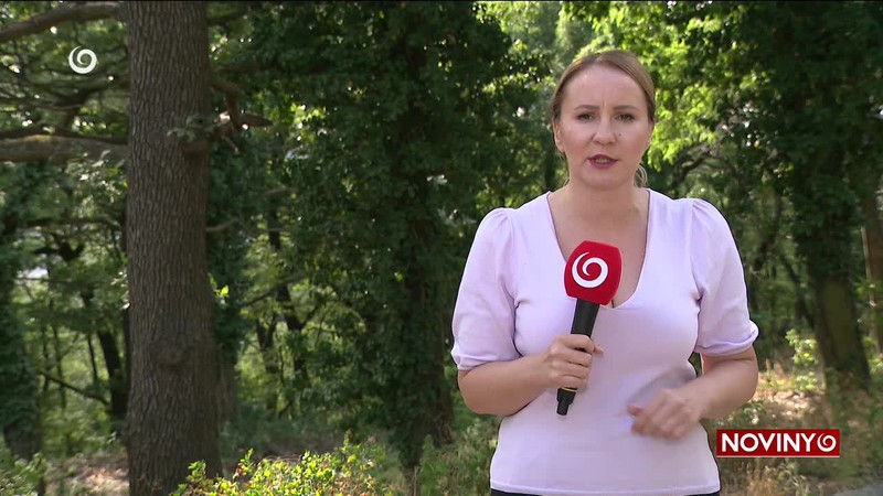 PRVÉ OPATRENIA V BOJI SO ŠKODCOM