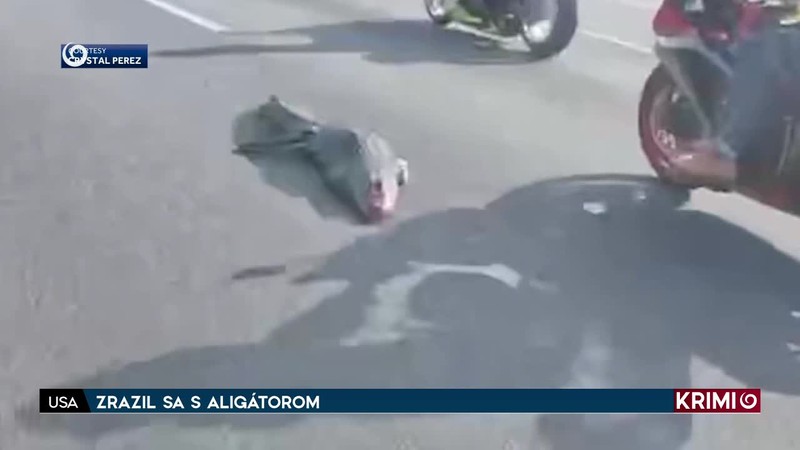 ZRAZIL SA S ALIGÁTOROM