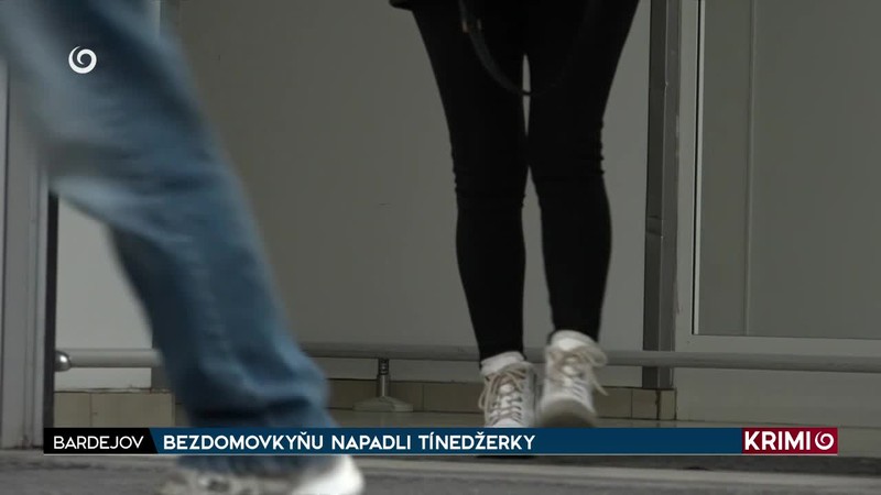 BEZDOMOVKYŇU NAPADLI TÍNEDŽERKY /