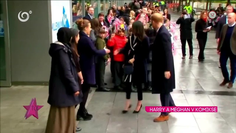 HARRY A MEGHAN V KOMIKSE