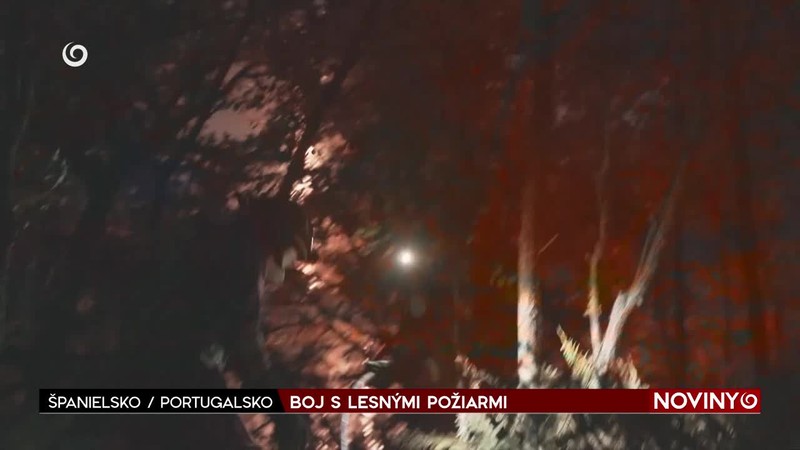 BOJ S LESNÝMI POŽIARMI