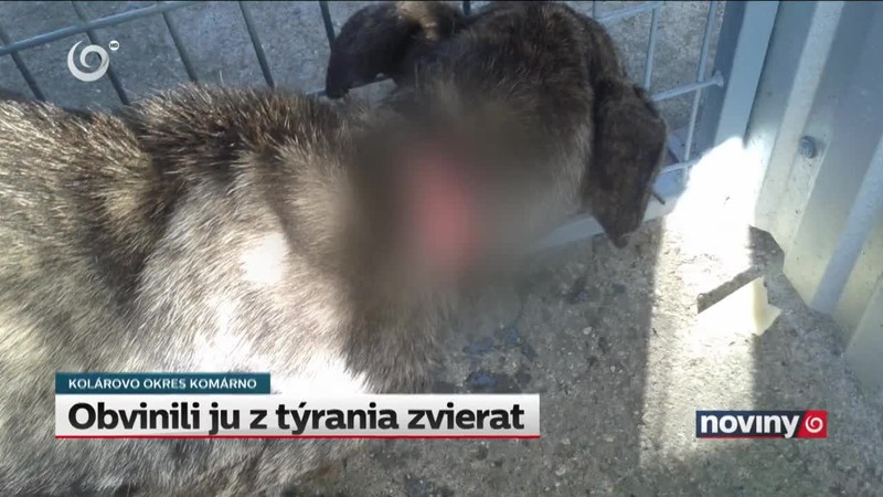 Obvinili ju z týrania zvierat