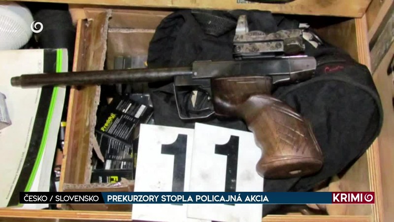 PREKURZORY STOPLA POLICAJNÁ AKCIA