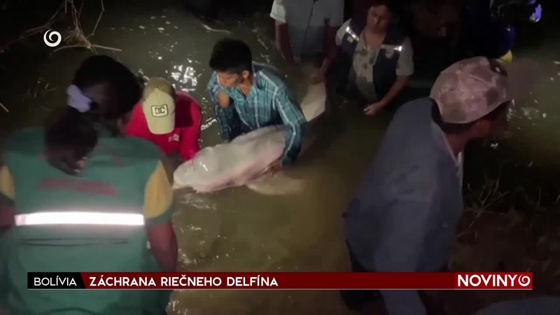 ZÁCHRANA RIEČNEHO DELFÍNA