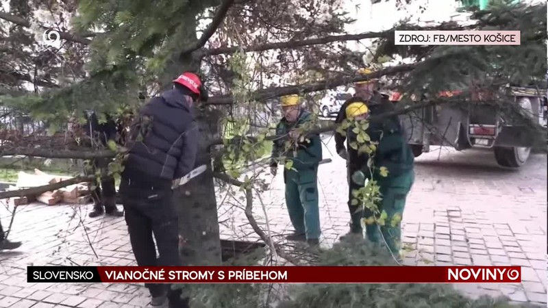 VIANOČNÉ STROMY S PRÍBEHOM