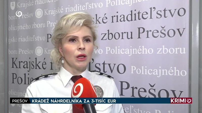 KRÁDEŽ NÁHRDELNÍKA ZA 3-TISÍC EUR