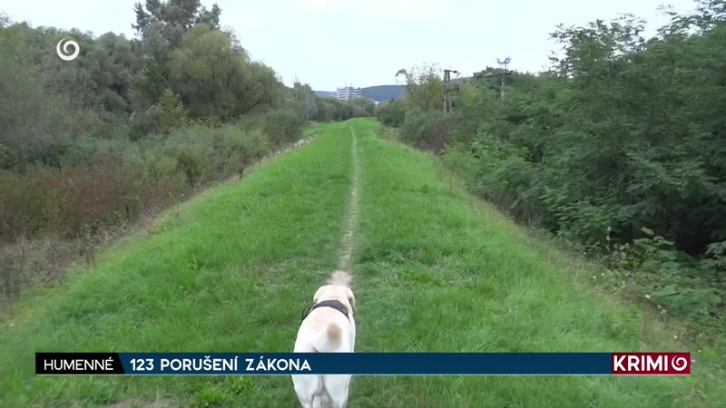 123 PORUŠENÍ ZÁKONA